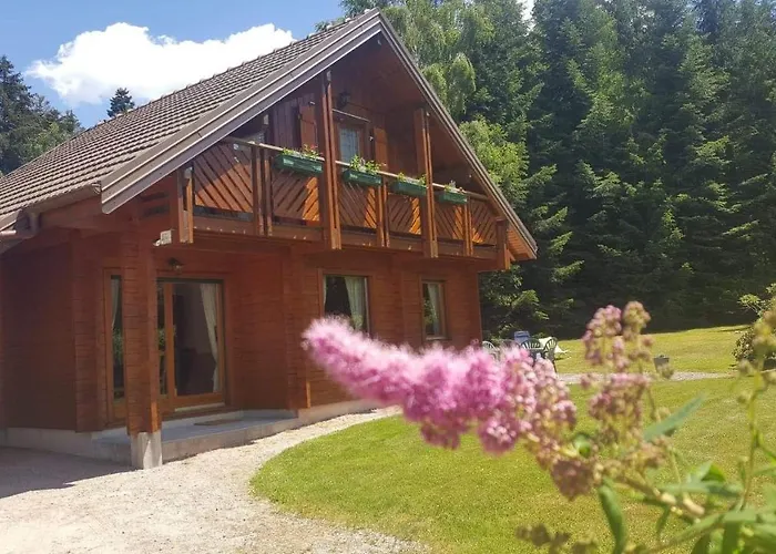 Chalet Cosy & Confort Spa,Sauna,Petanque,Ve - Top Situation A Gerardmer