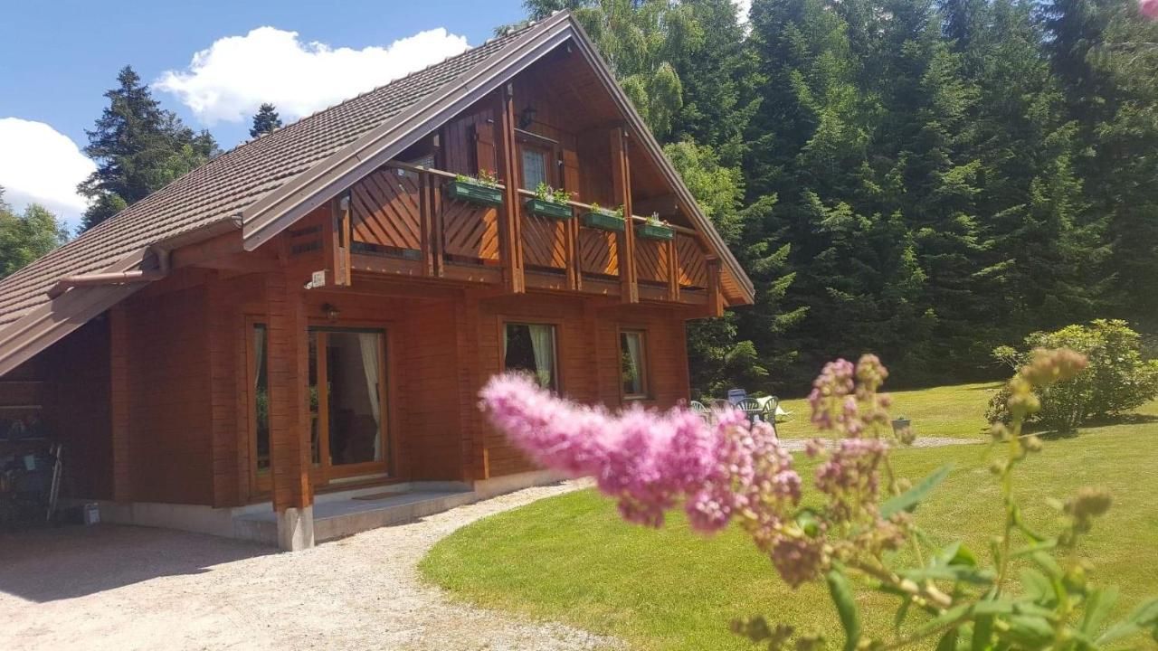 Cosy & Confort Spa,sauna,petanque,ve - Situation A * Gerardmer